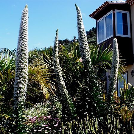 Apartamento Mar Y Teide Sauzal Pokój zdjęcie