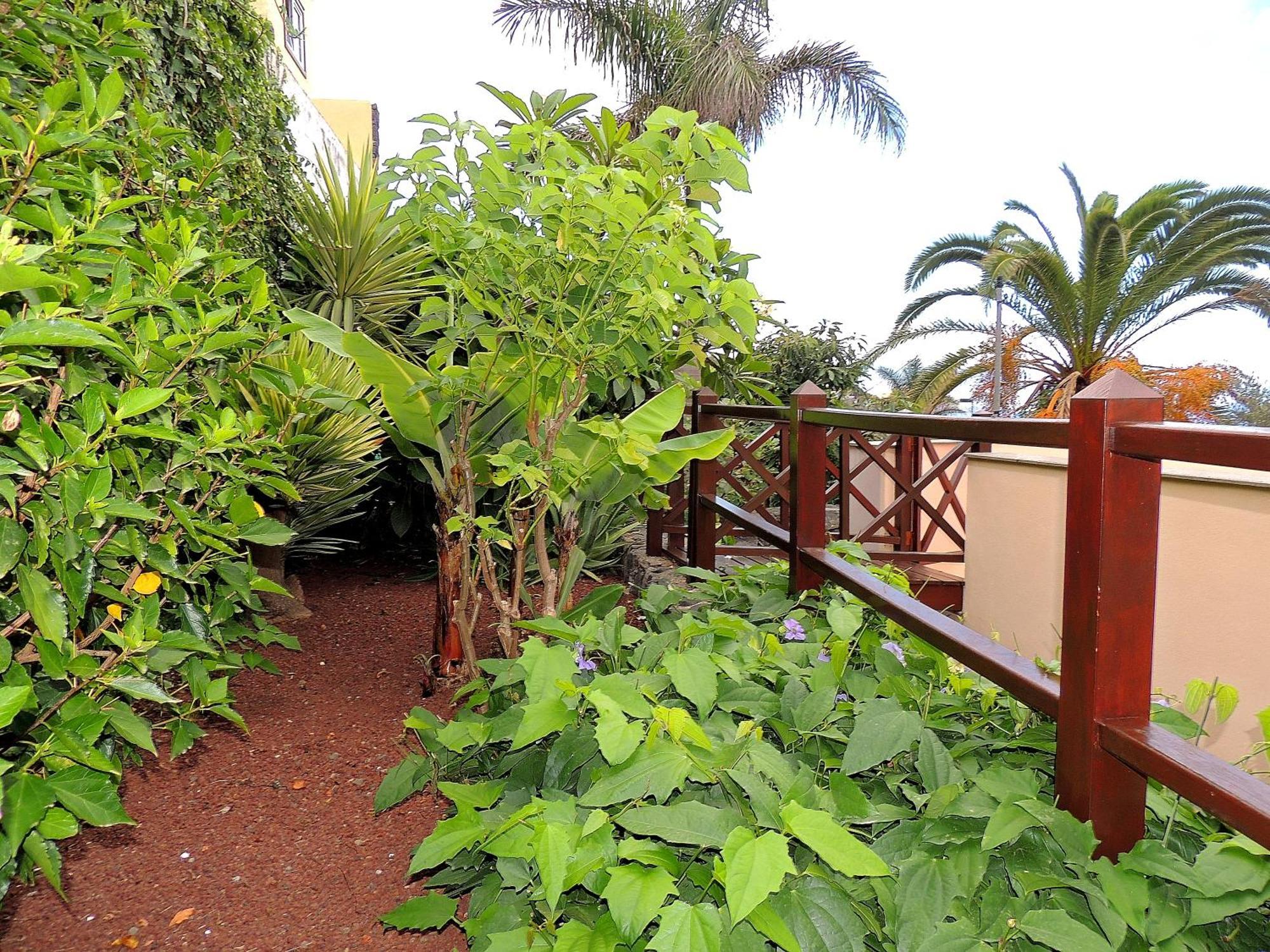 Apartamento Mar Y Teide Sauzal Zewnętrze zdjęcie